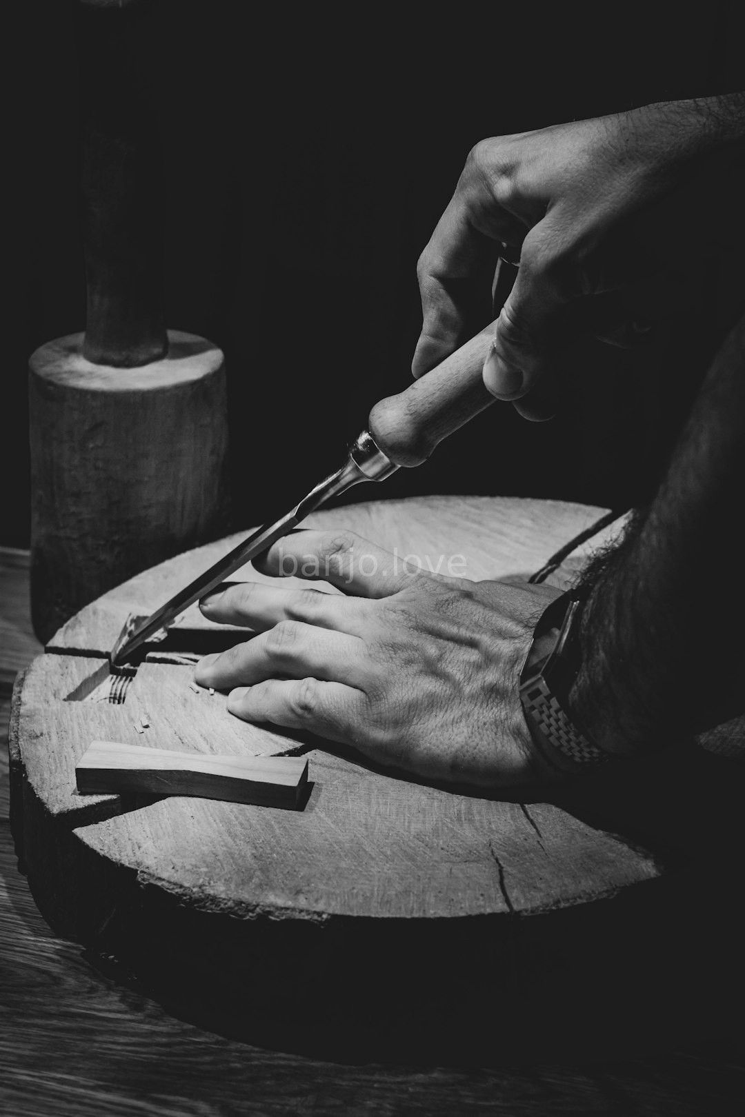 Custom Banjo