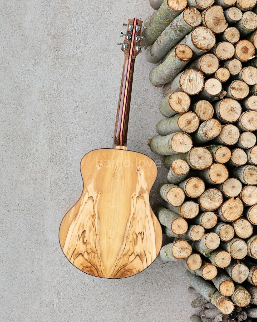 Luthier Workshop