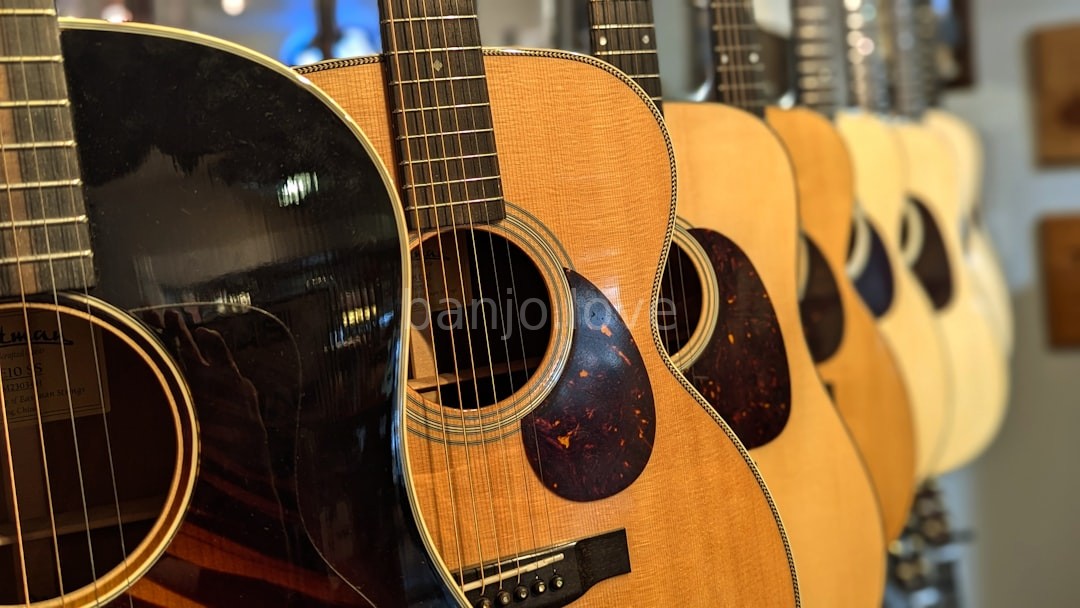 Curated Selection